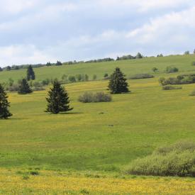 Rhön, Mountainbike, geführte Touren