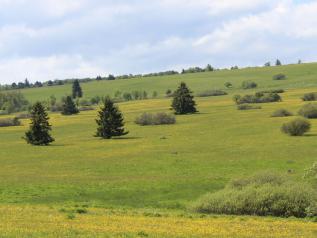 Rhön, Mountainbike, geführte Touren