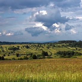 Rhön, Mountainbike, geführte Touren